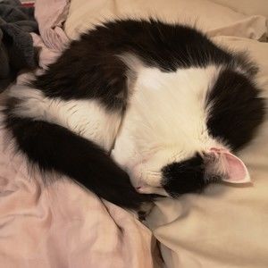 Meet your Posher, Ting